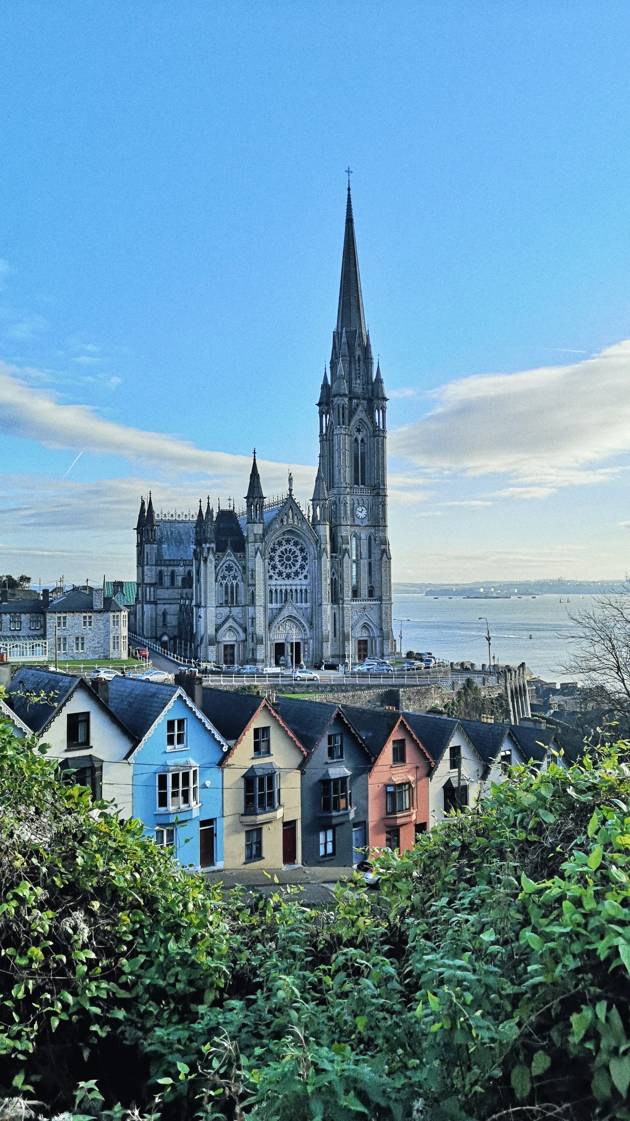 Cork