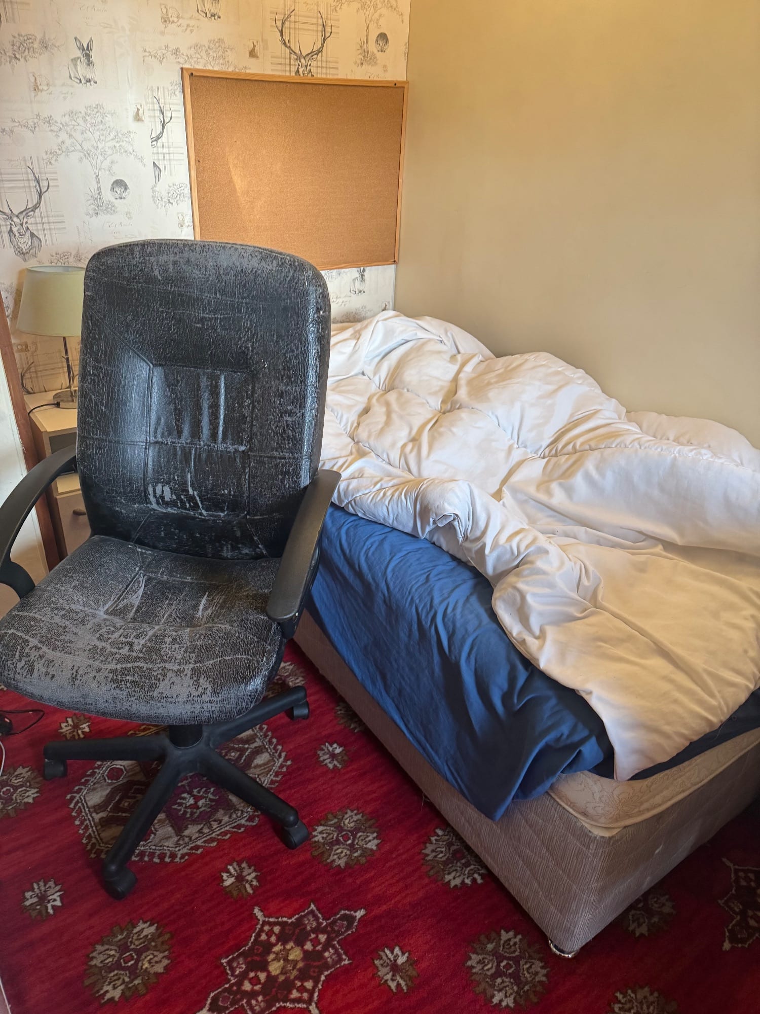 Furnished 1-Bed Room to Rent in Lucan, Dublin · BER A1 · Parking